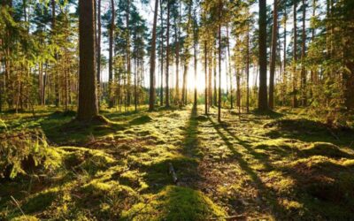 Infoabend zum Befähigungskurs zum Hospizbegleiter